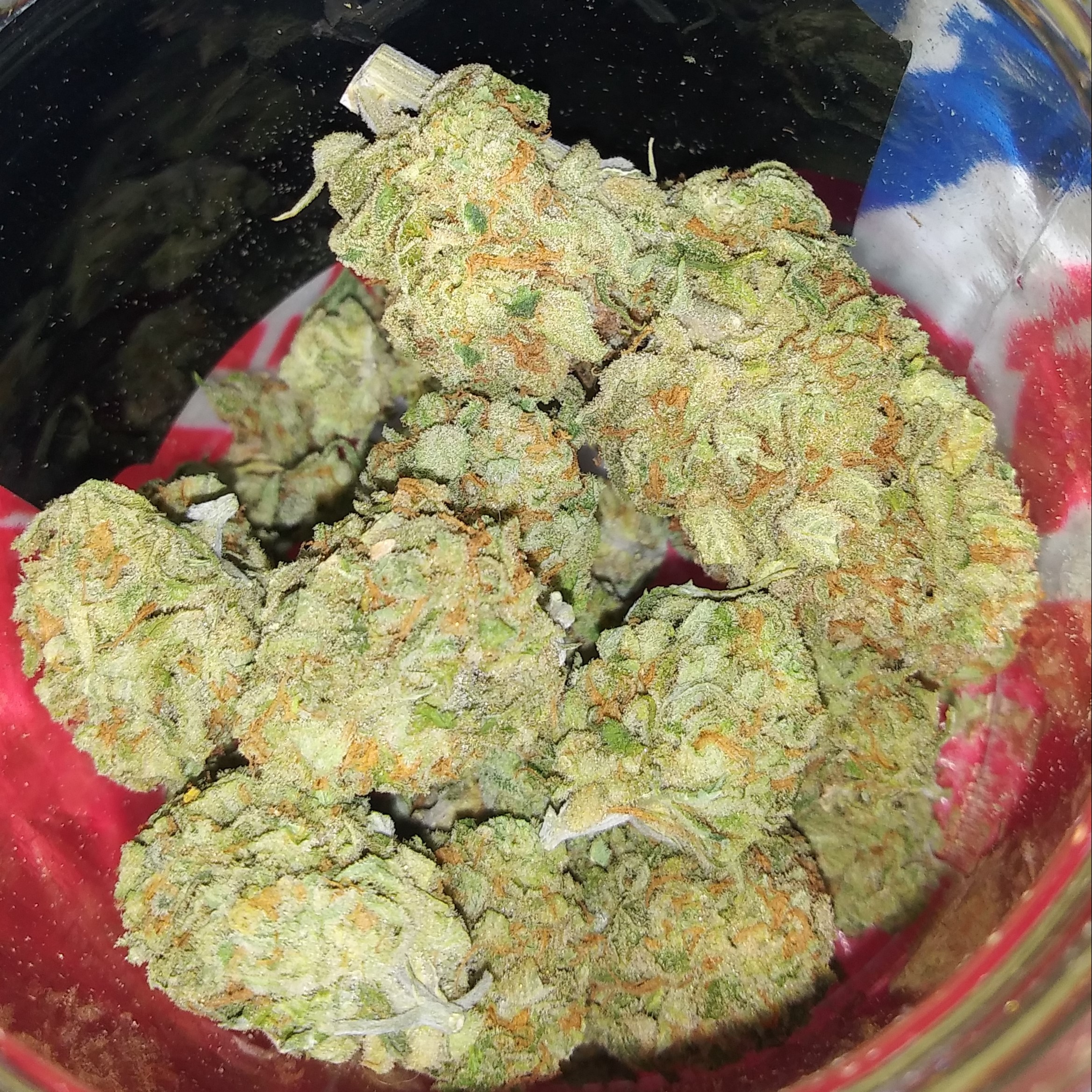Girl Scout Xtreme